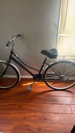 Cruising adult bike