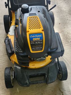 Cub cadet PUSH Lawnmower With Bag