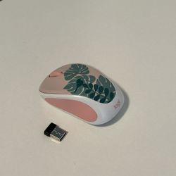 Wireless Mouse for Computer