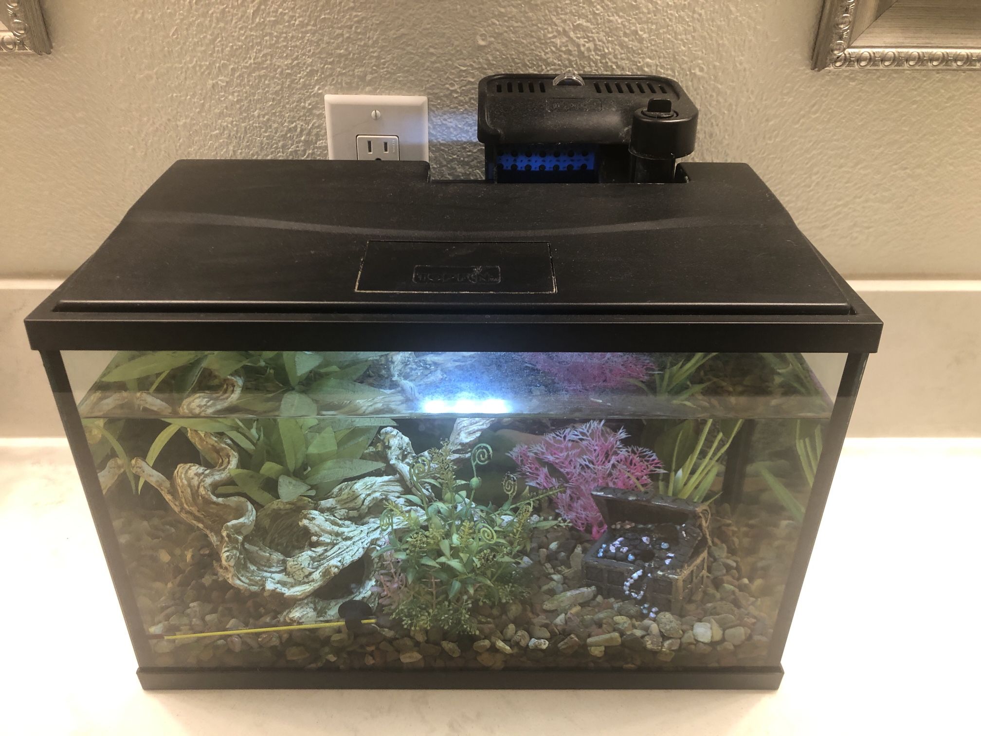 Fish Aquariums