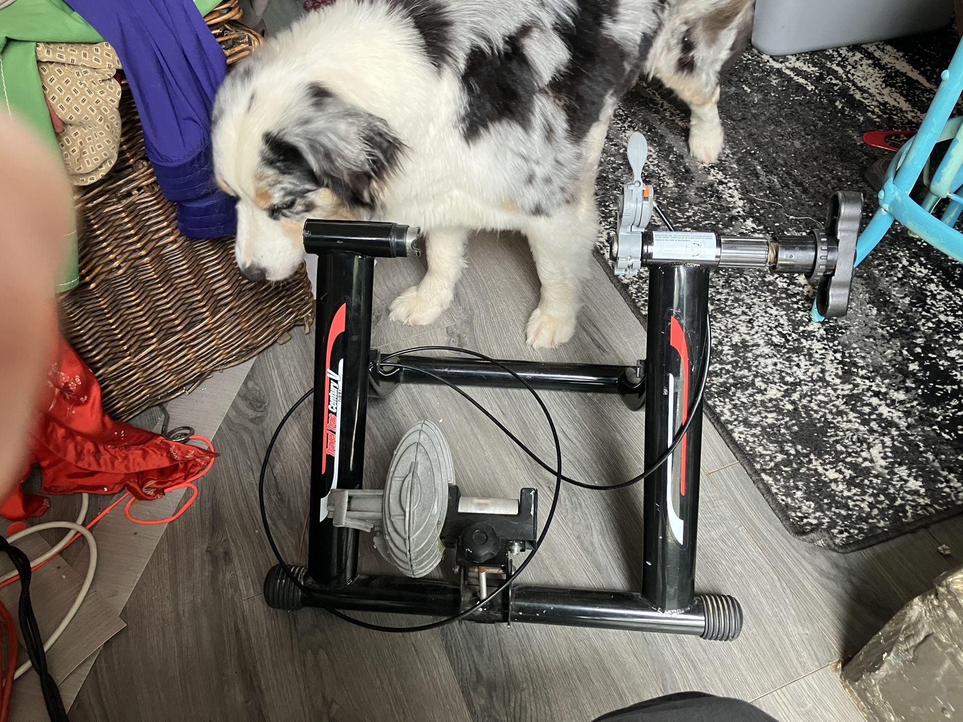 Travel Trac Century 5 Fluid+