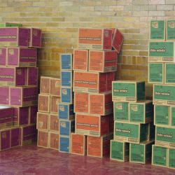 Cases Of Girl Scout Cookies 