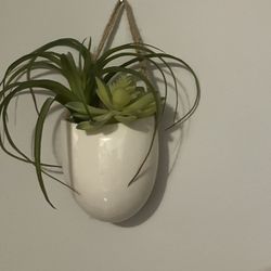 Decorative Plant For The Wall