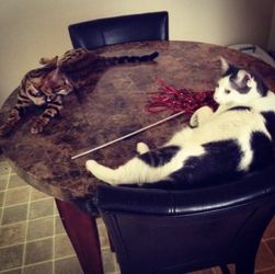 Solid Marble Pub Table