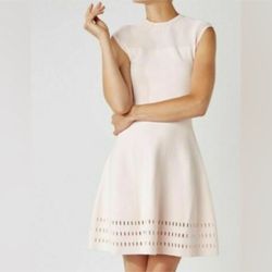 Ted Baker Blush Pink Dress | Elegant Fit & Flare Knit