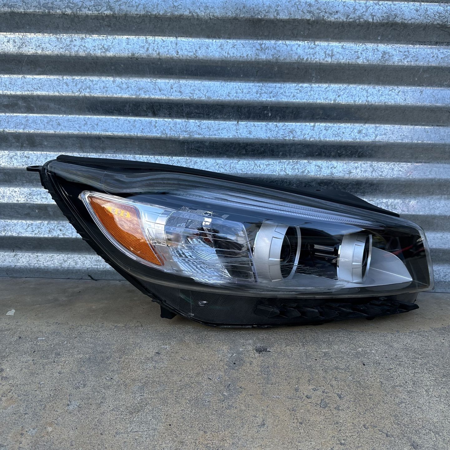 Image #1