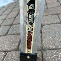 Multi-position Ladder