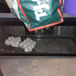 Reptile Tank