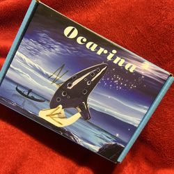 Musical Toy Instrument 