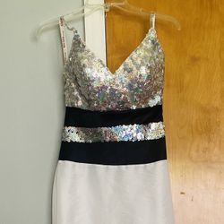 White, Black, Silver Gown