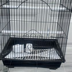 Bird Cages
