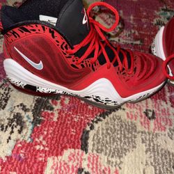 Nike Air Penny V Red Eagle