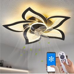 Ceiling Fan with Lights Remote Control, Black 