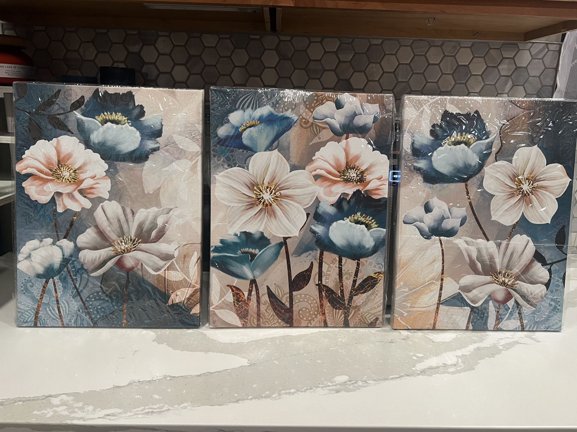 3 Piece Wall Art 12x16 Each