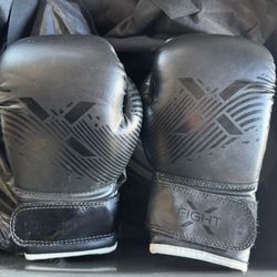Boxing Gloves 8-10oz