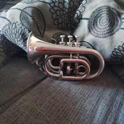Silver Trumpet And Small