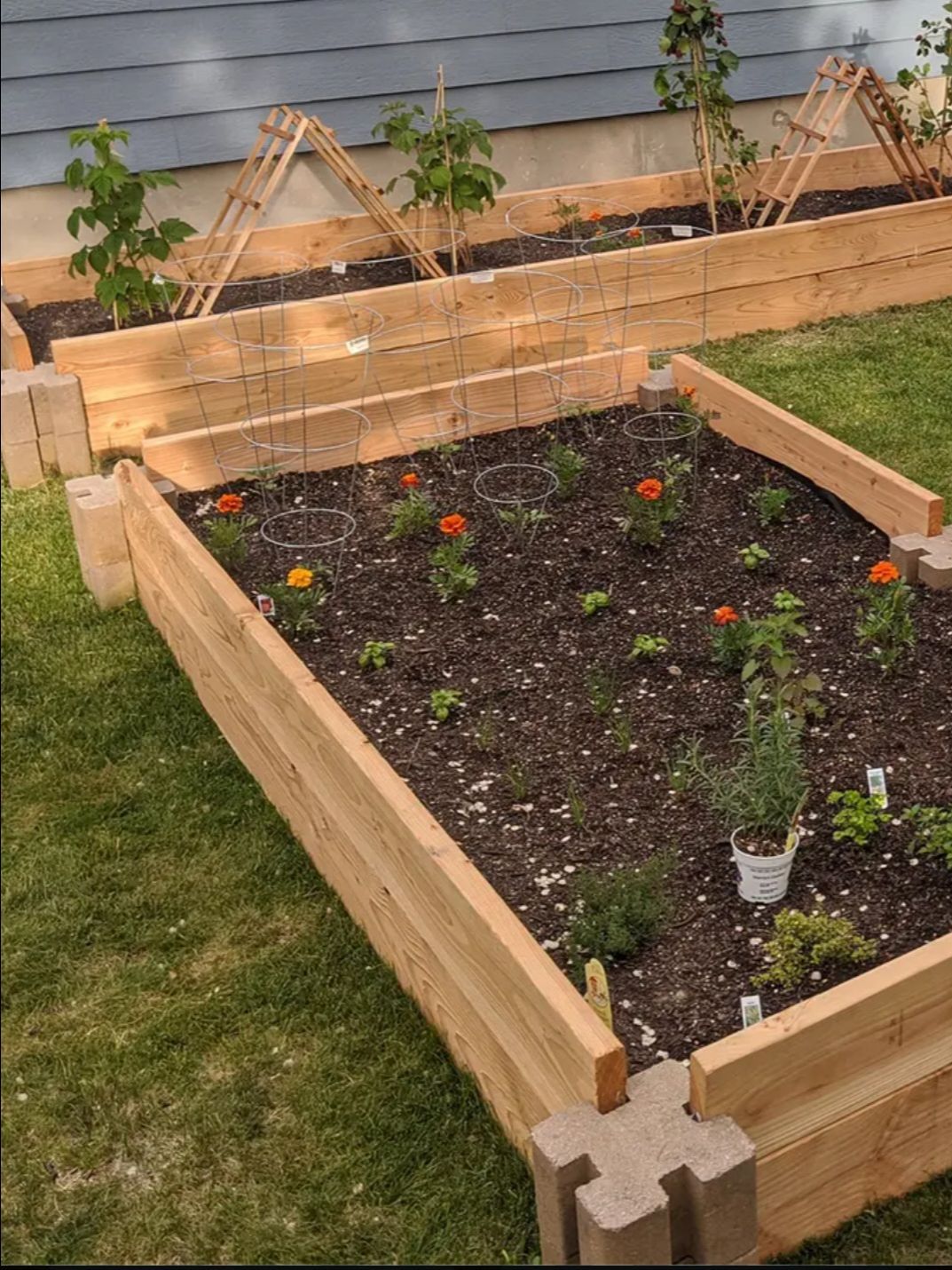 Old castle bricks for planter