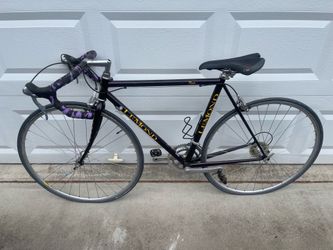 LEMOND **RENO**STEEL FRAME BICYCLE