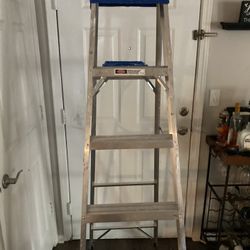 6 Foot Ladder