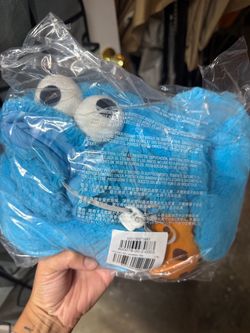 Cookie Monster costume dog