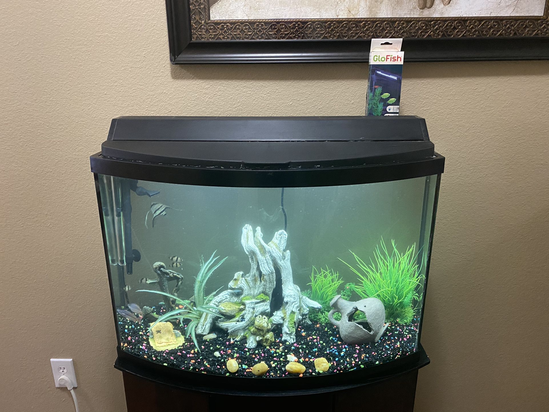 42 Gallon Aquarium With Heater, Filter, And Supplies $100