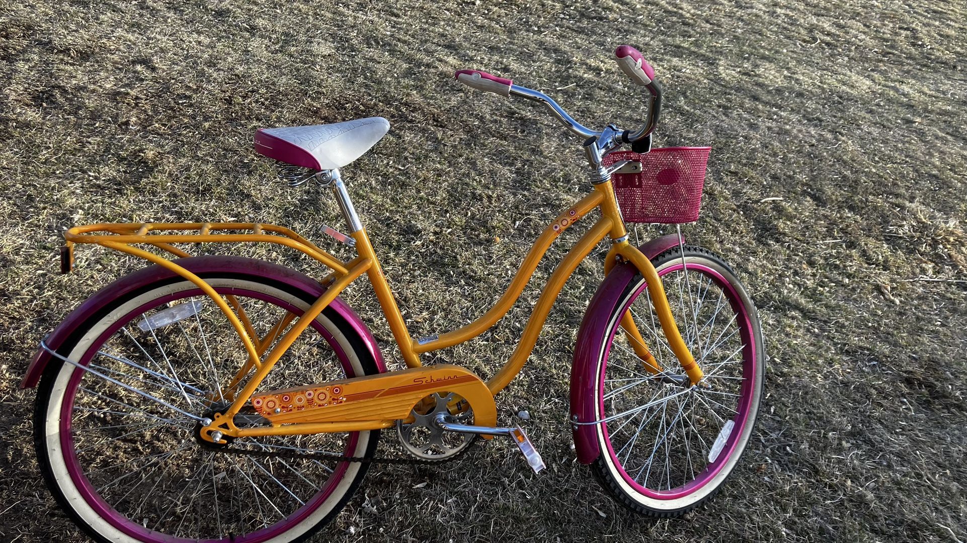 Schwinn  Girl Bicycle