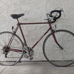 Nishiki Road Bike 