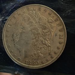 Morgan Silver Dollar 