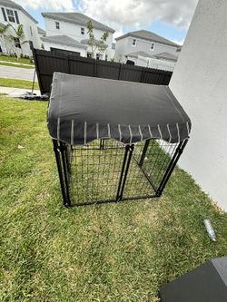 Dog House