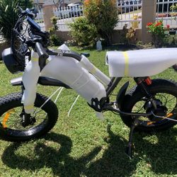 NEW POLEEJIEK ELECTRIC BIKE