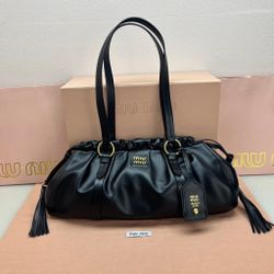 Miu Miu bag