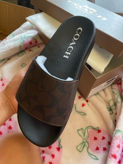 coach slides