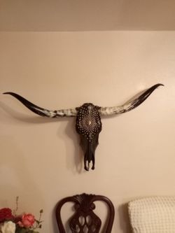 steer head art work