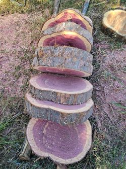 CEDAR SLICES AND MORE