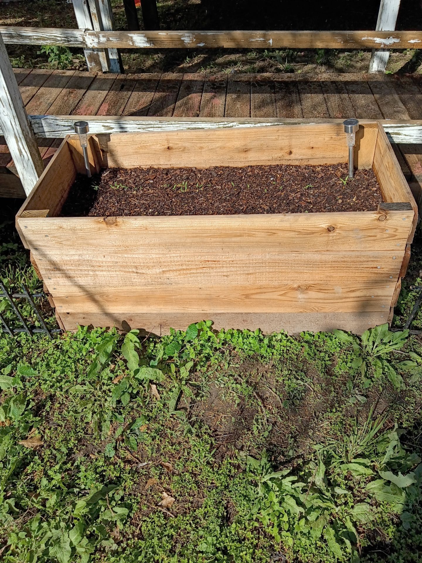 Custom Planter Boxes