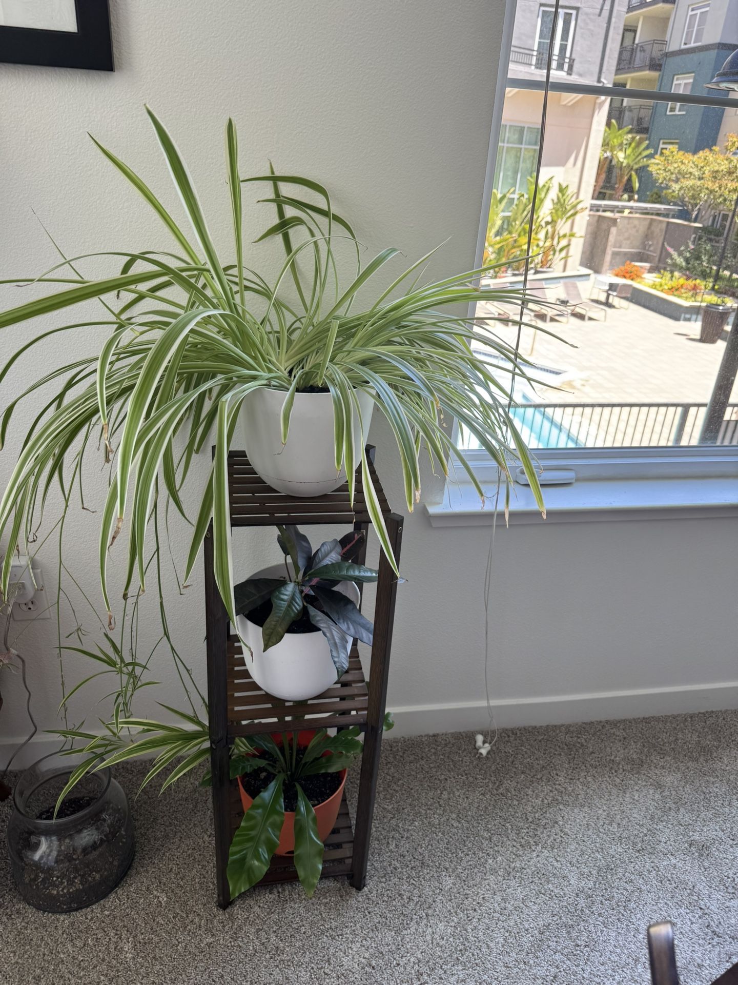 3 Tier Stand And Plants