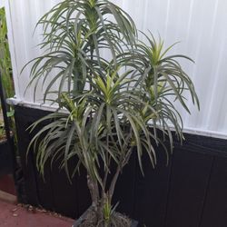 Planta Artificial Buenas  Condisiones 