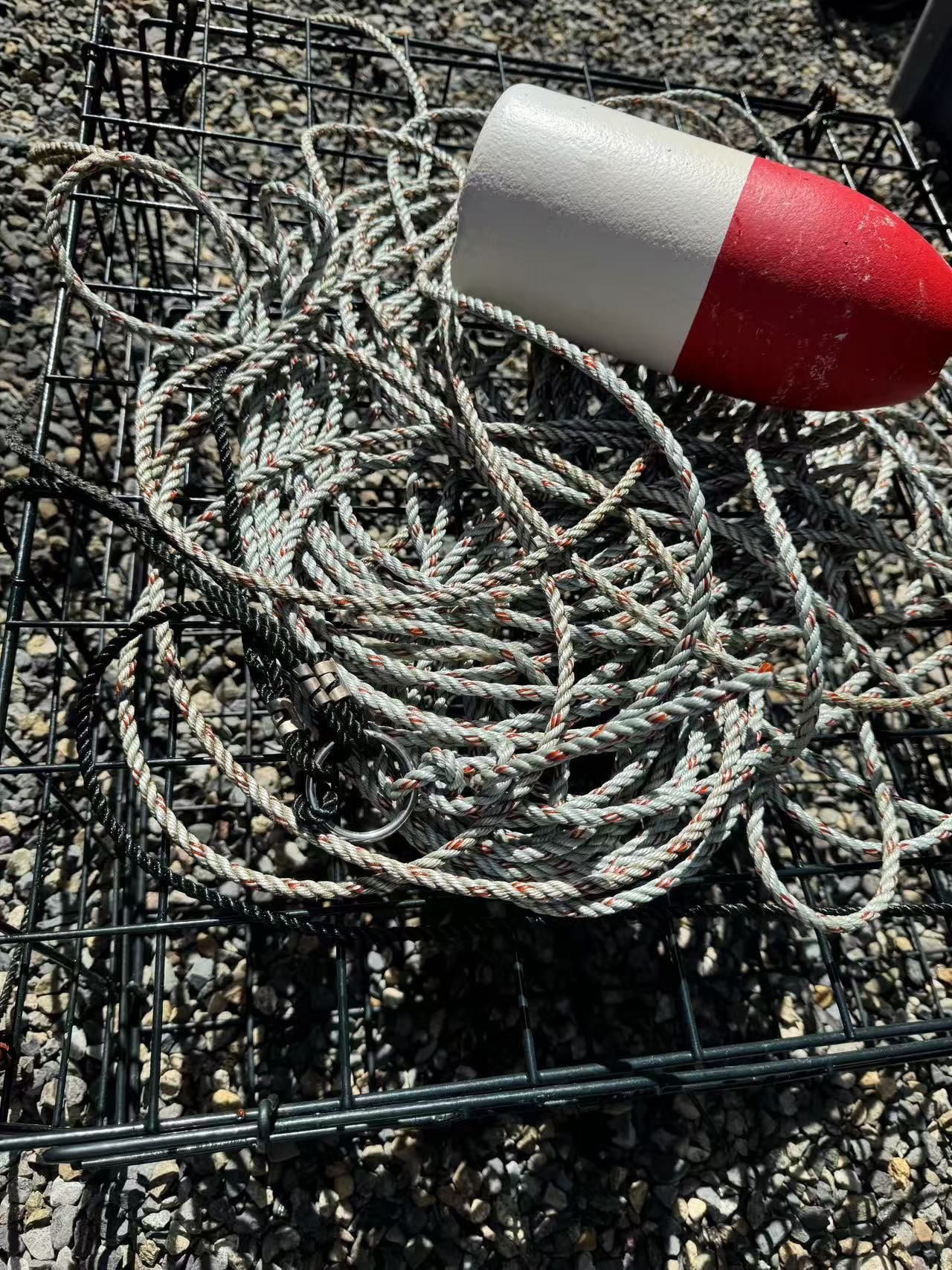 Crab Pot
