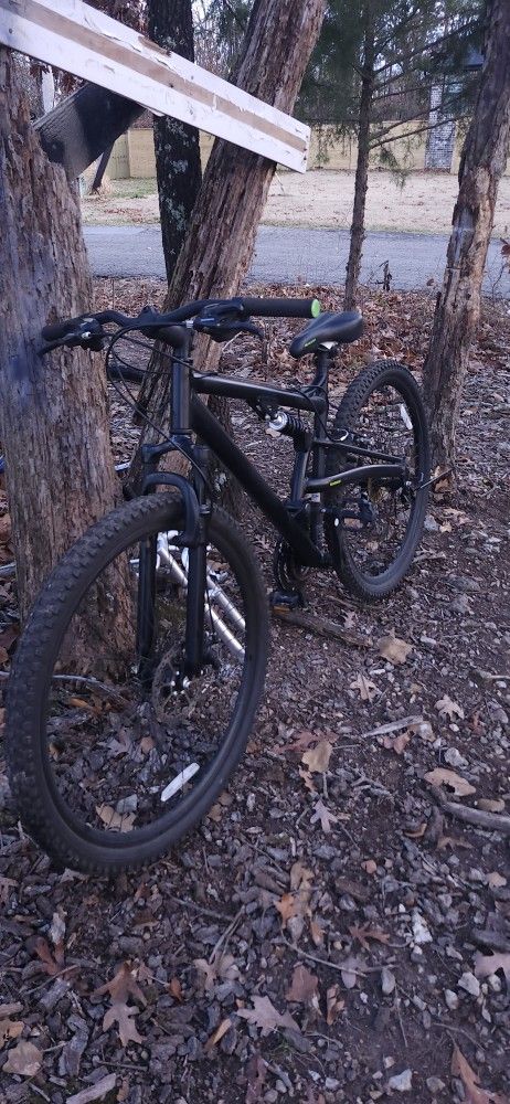 Schwinn Mountian Bike