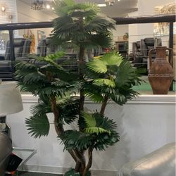 Large Artificial  plant