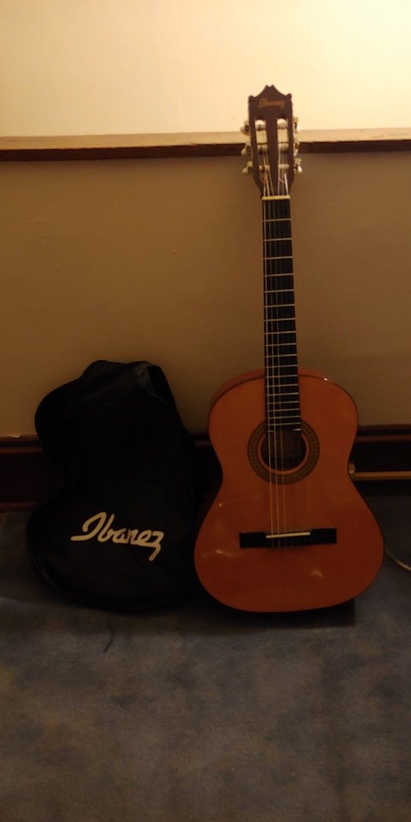 Ibanez Guitar