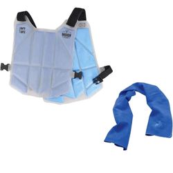 Ergodyne Chill-Its 6210 Phase Change Cooling Vest with 6602 Chill-Its Cooling Towel  IMMEDIATE & LONG-LASTING COOLING RELIEF - Packs maintain constant