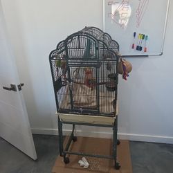 Bird Cage For Green Cheek Conure As Is Everything Included