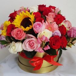 Roses Rosas