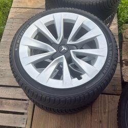 Tesla Rims And Tires Model 3.   19 Inch