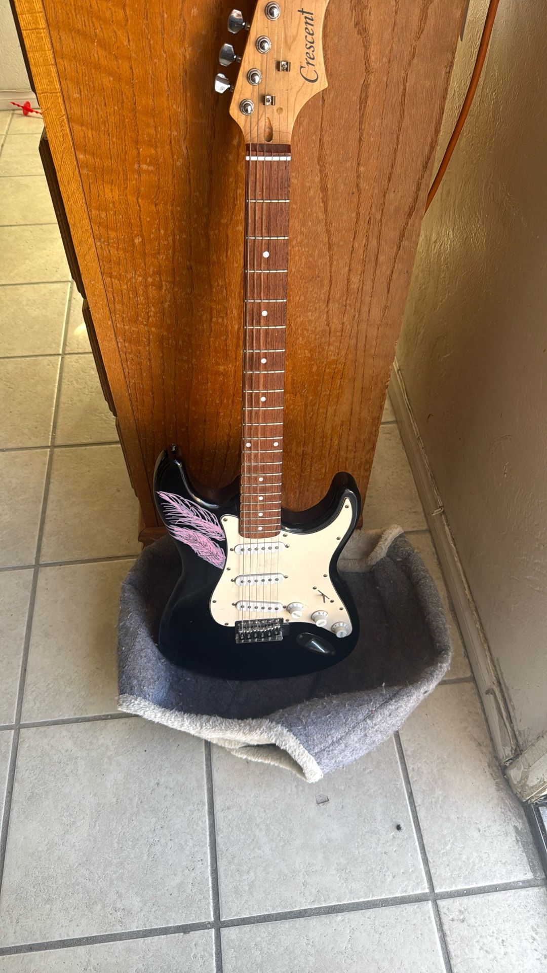 Electric Guitar