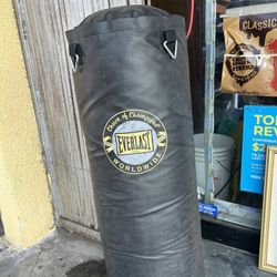 EVERLAST PUNCHING BAG