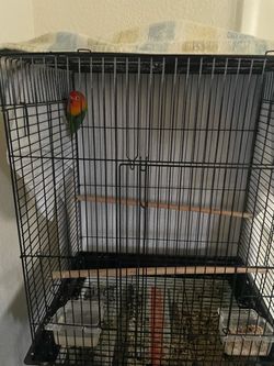 ****** bird cage******