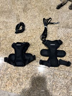 X-small Harness