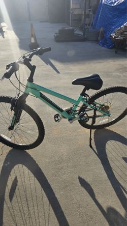 Mountain bike